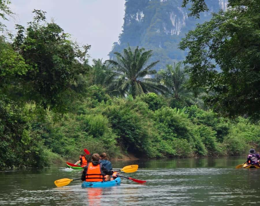 Khao Sok Park: Jungle Kayak Adventure & Wildlife Tour - Wildlife Moments: Monkeys, Kingfishers, and the Big Things You Might Miss