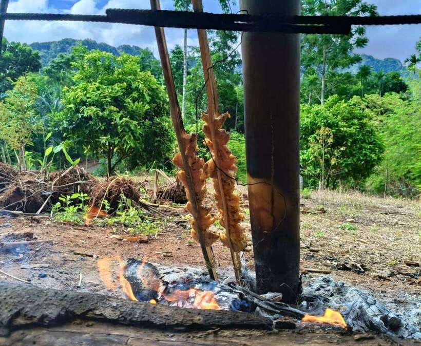 Khao Sok: Private Authentic Jungle Cooking Experience - Price and Value Check: Is $57 Worth It?