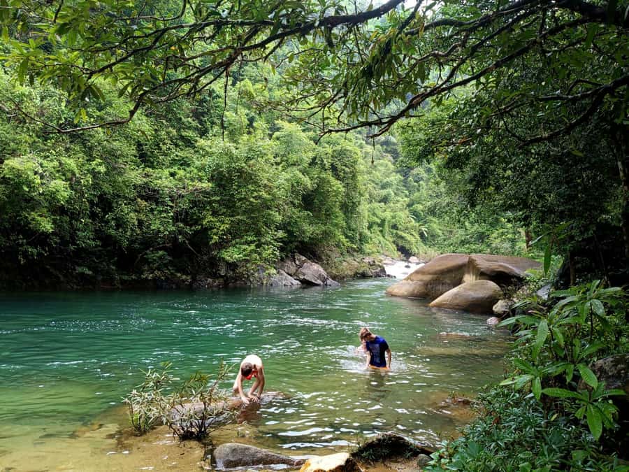 Khao Sok: Private Day Trekking, Jungle Dinner & Night Safari - Two hours of day trekking: where the guide makes the difference