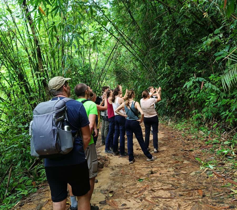 Khao Sok: Private Day Trekking, Jungle Dinner & Night Safari - Waterfall swim time: cool water break, not a random stop