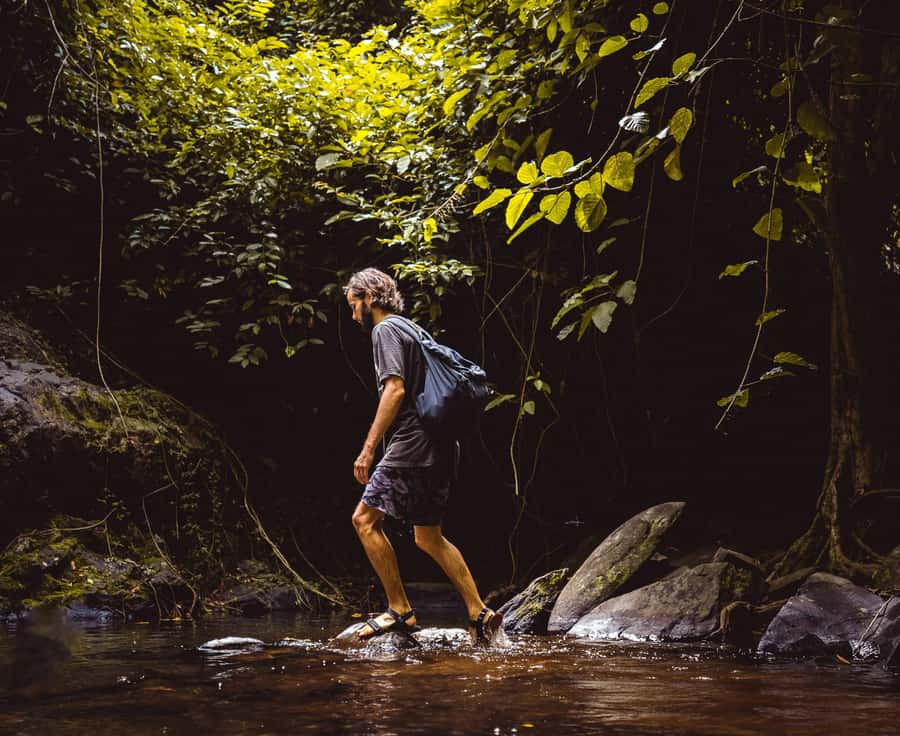 Khao Sok: Private Day Trekking, Jungle Dinner & Night Safari - Price and value: is $192 worth it for a private group of two?