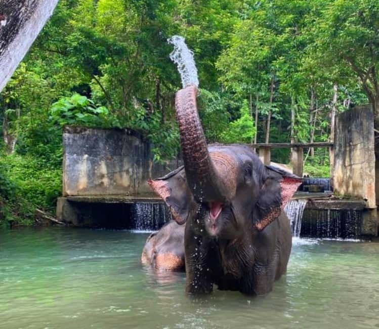 Khao Sok: Private Ethical Elephant Sanctuary Adventure - Questions worth asking before you commit