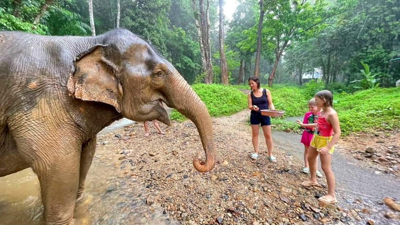 Khao Sok: Private Ethical Elephant Sanctuary Adventure - Hotel pickup, viewpoint stop, and Mae Waterfall