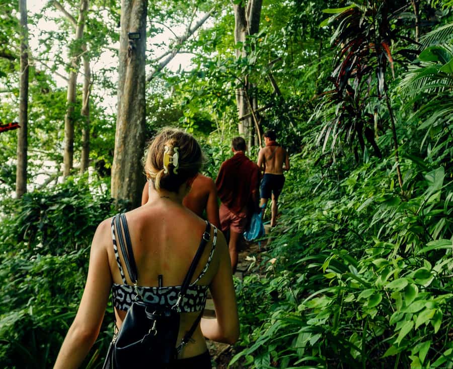 Khao Sok: Private Jungle Trek, Waterfall Swim & Bamboo Lunch - Key Highlights You’ll Actually Feel