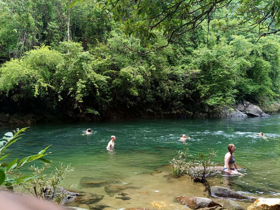 Khao Sok: Private Jungle Trek, Waterfall Swim & Bamboo Lunch - From Khao Sok Pickup to the Jungle Trail