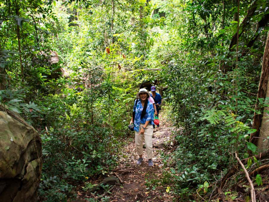 Khao Sok: Private Jungle Trek, Waterfall Swim & Bamboo Lunch - The Half-Day Trek: What the Forest Walk Is Like