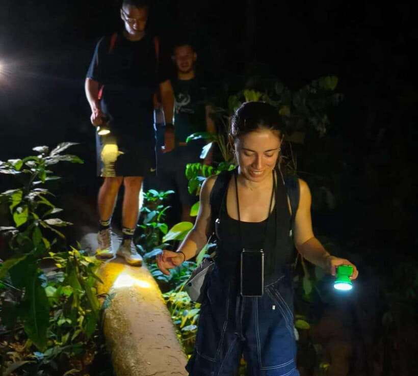 Khao Sok: Private Night Safari Adventure w/ Hotel Transfer - Night Safari Logistics: Hotel Pickup, Park Entry, and How the Timing Works
