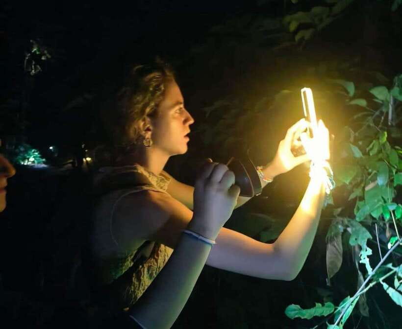 Khao Sok: Private Night Safari Adventure w/ Hotel Transfer - Wildlife Spotting Isn’t Magic: Why the Guide Matters So Much