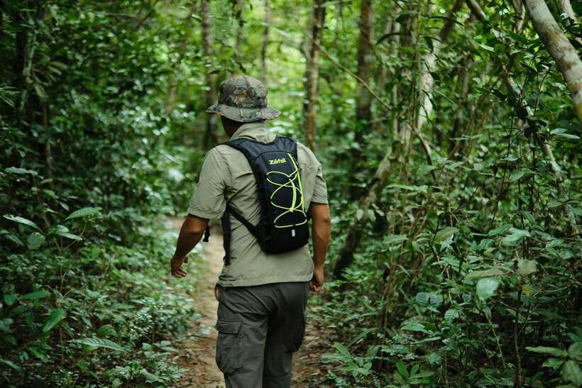 Khao Sok: Private Waterfalls and Wildlife Half-Day Trek - What to bring and how to dress for a rainy, buggy forest day