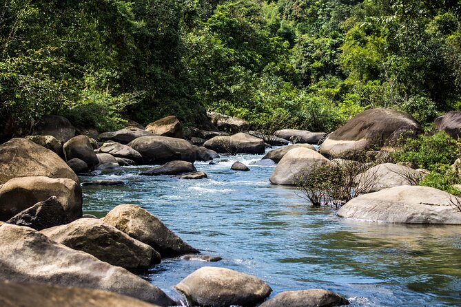 Khao Sok Rainforest | Hiking & Bamboo Rafting - Jungle coffee, bamboo cups, and a bird’s-eye viewpoint stop