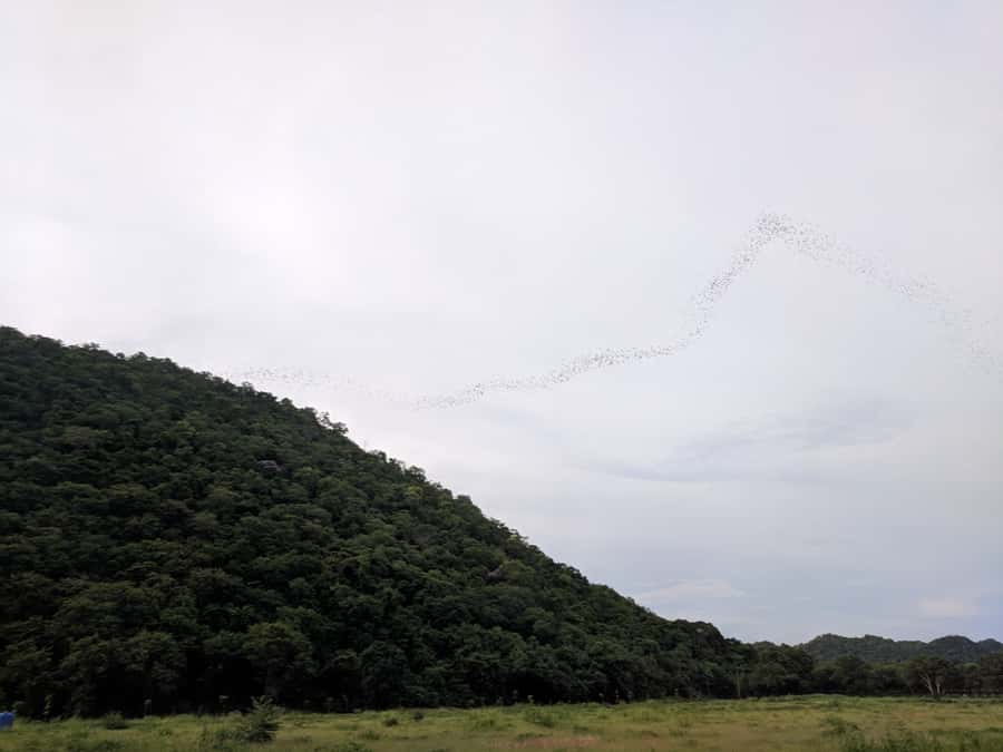 Khao Yai National Park: 2-Day Private Tour from Bangkok - Key highlights I’d circle before you book