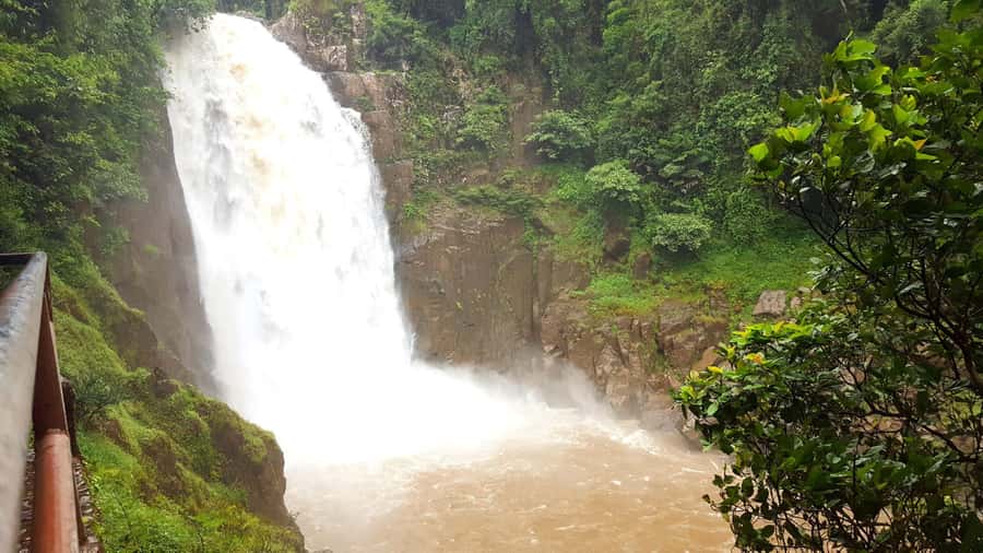 Khao Yai National Park: 2-Day Private Tour from Bangkok - Eco Valley Lodge vs The Peri Khao Yai: picking the right overnight vibe