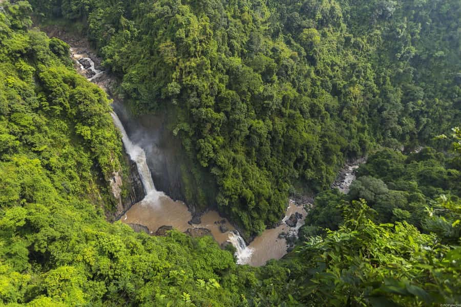 Khao Yai National Park: 2-Day Private Tour from Bangkok - Dry evergreen forest hike: how to spot gibbons, monkeys, and hornbills