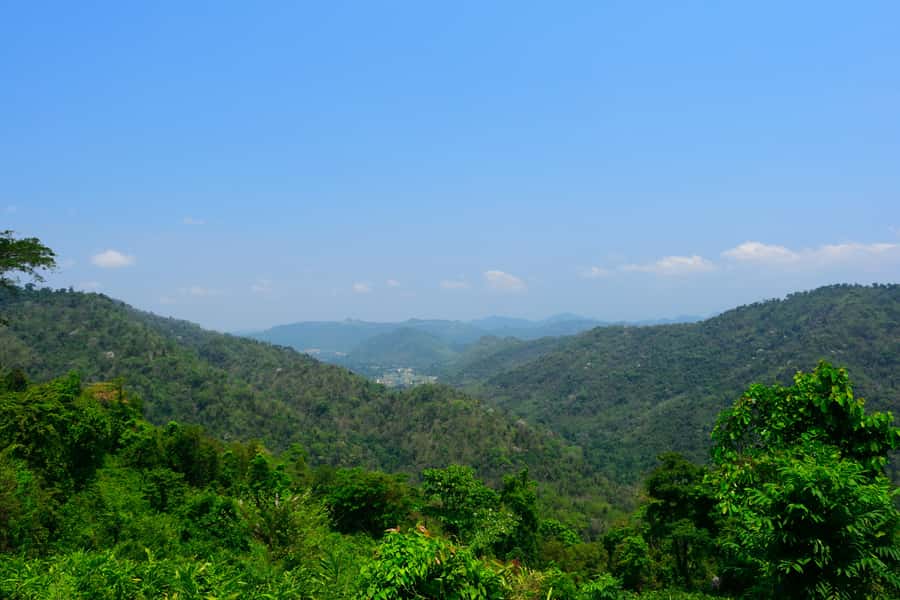 Khao Yai National Park: 2-Day Private Tour from Bangkok - Evening elephant salt-lick stakeout: the best drama is quiet