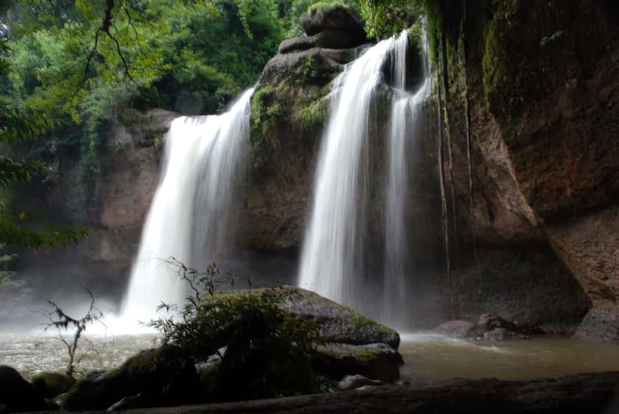 Khao Yai National Park: 2-Day Private Tour from Bangkok - Guides, group size, and why it affects your chance of good sightings