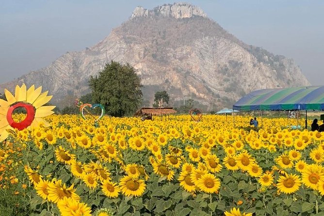Khao Yai national Park day tour from Bangkok - Customizing the route: asking for exactly what you want to see