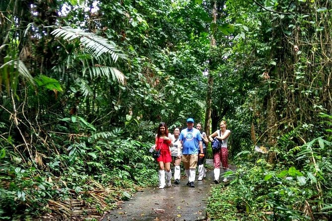 Khao Yai National Park Hiking Day Tour: Haew Narok and Haew Suwat - Khao Yai National Park Visitor Centre: learn first, look smarter
