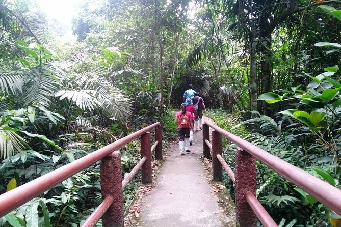 Khao Yai National Park Hiking Day Tour: Haew Narok and Haew Suwat - Price and what you really get for $185.74