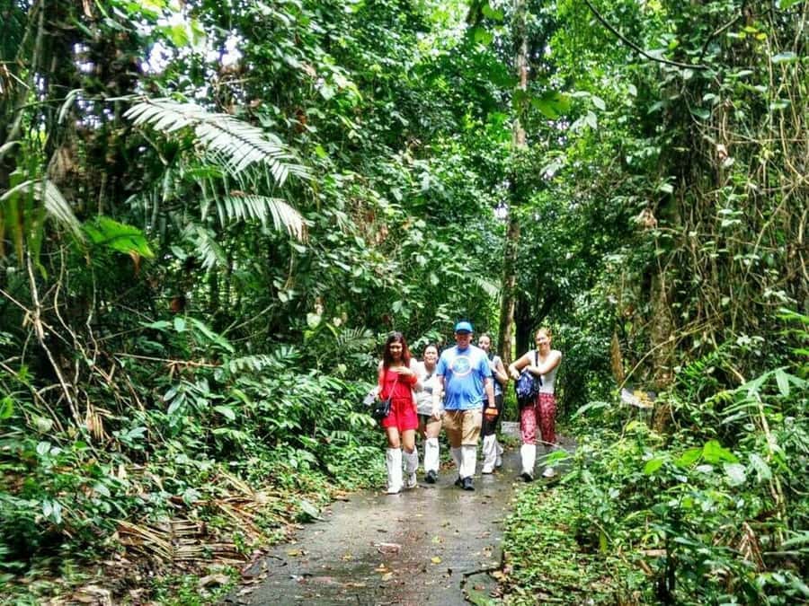 Khao Yai National Park: Waterfalls - Heaw narok & Heaw Suwat - Haew Narok hike: 3 tiers, 150 meters, and what low water changes