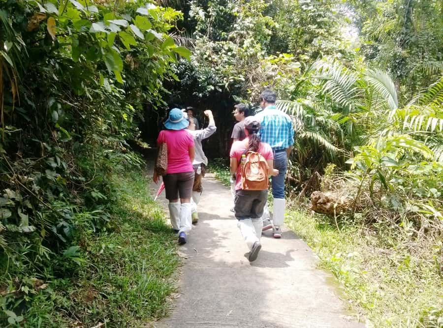 Khao Yai National Park: Waterfalls - Heaw narok & Heaw Suwat - Wildlife odds in Khao Yai: what you might see on the trails