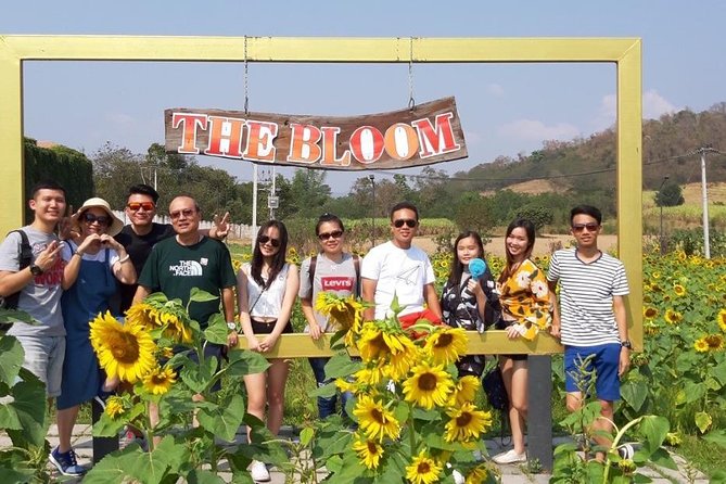 Khao Yai One Day Tour from Bangkok - Chocolate Factory Khao Yai: short, easy, and slightly different
