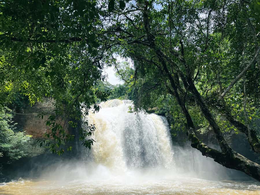 Khao Yai: Private Custom Tour with Driver From Bangkok - Khao Yai National Park: what your day should include