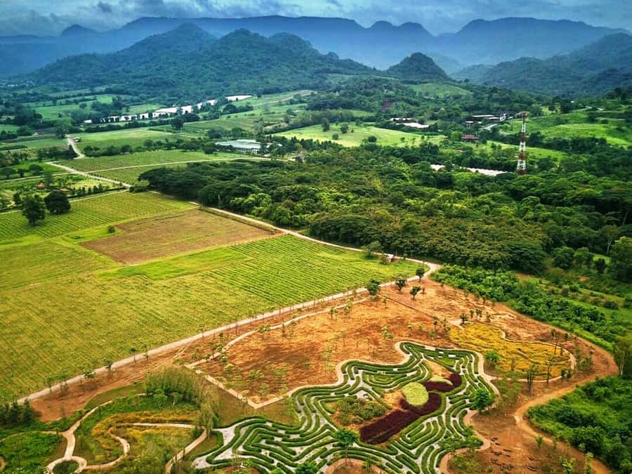 Khao Yai Vineyard Tasting Tour & Horse Farm Visit - From Bangkok to Khao Yai: the early start that pays off