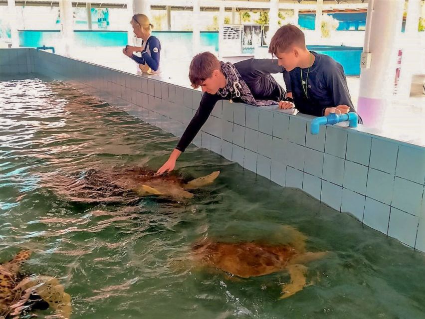 Khaolak: Bamboo Rafting, Waterfalls, and Turtle Conservation - Price and value: what $48 buys you for a half-day