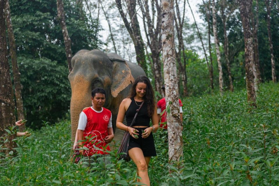 Khaolak: Begin the Day with Elephants - Walk and Feed Tour - Getting to the Sanctuary: Guide Intro, Safety, and First Contact