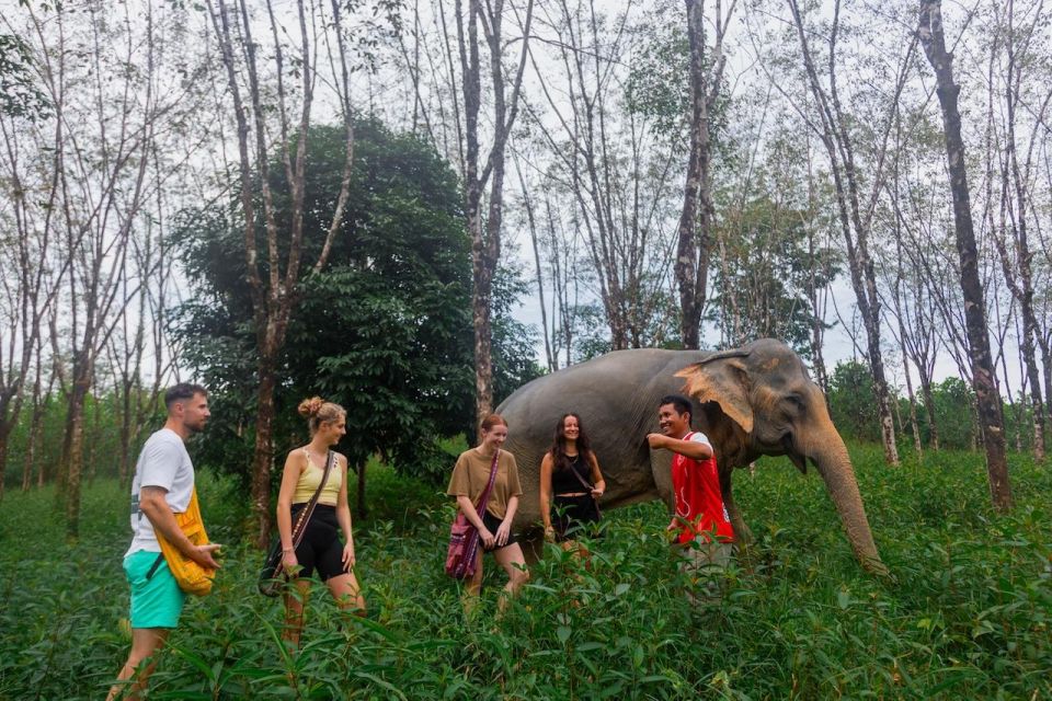 Khaolak: Begin the Day with Elephants - Walk and Feed Tour - Value Check: Does $57 Really Make Sense for an Hour?