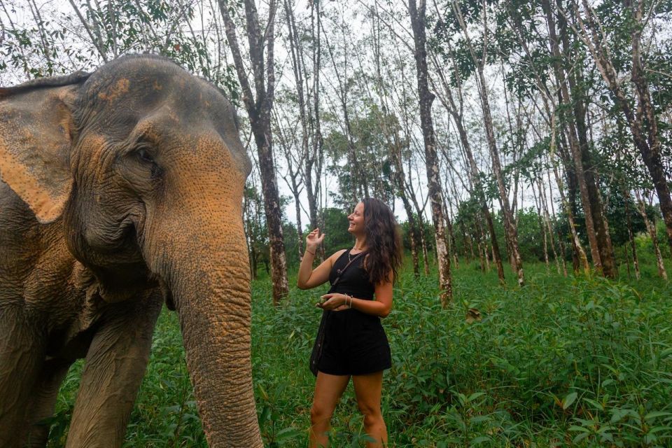 Khaolak: Begin the Day with Elephants - Walk and Feed Tour - The Walk Through the Park: Free-Roaming Elephants at Your Pace