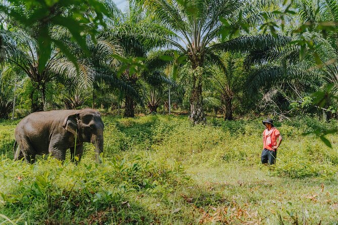 Khaolak Elephant Sanctuary, Cooking Class and Waterfall Tour - Why the mahout experience in Khao Lak feels different