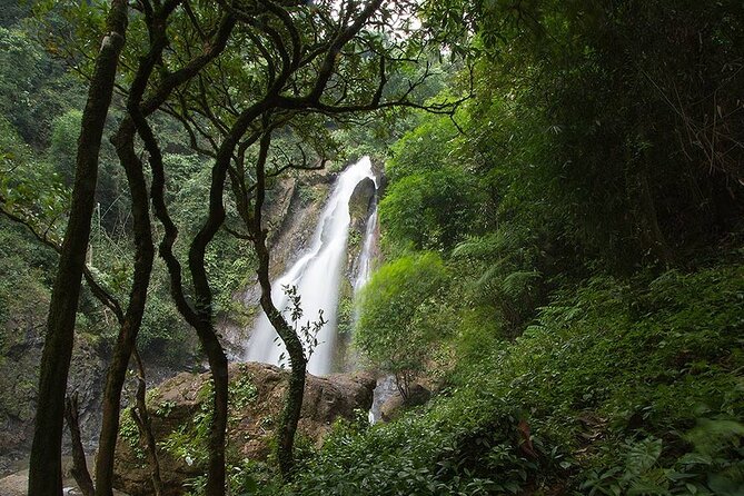 Khaolak Nature & Culture Tour with Lunch - Key highlights you should know