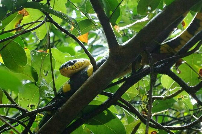 Khaolak Nature & Culture Tour with Lunch - Timing, pickup, and group size that keep the day manageable