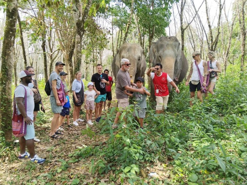 Khaolak: Sunset Elephant Walk with Complimentary Cocktail - Price and value: what you’re paying for