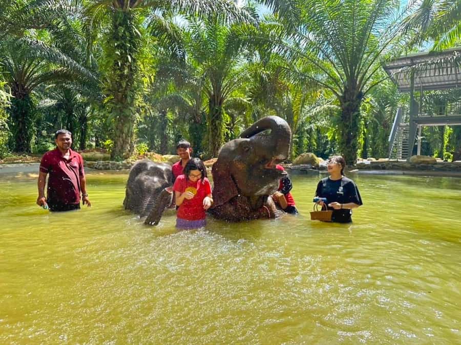 KhaoLak :White Water Rafting ,Monkey Cave, Elephant Bathing - The waterfall swim finish: a cooling reward after the action