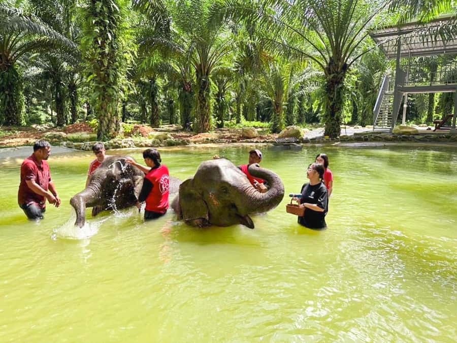 KhaoLak :White Water Rafting ,Monkey Cave, Elephant Bathing - Song Phraek rafting (5.5km) and the safety briefing before the splash