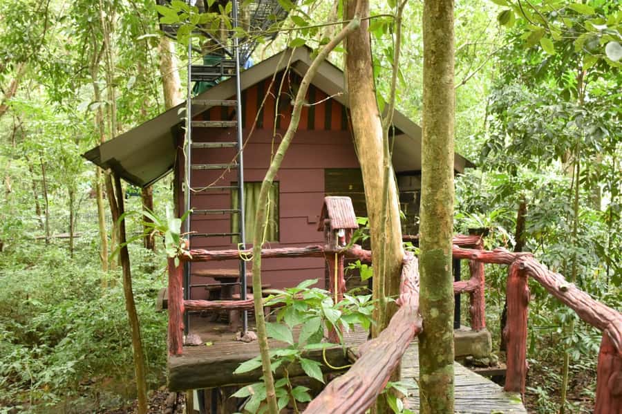 Khaosok National Park: 4-Day and 3-Night Package Trip - Day 3 Ratchaprapha lagoon by longtail, Pakarang Cave, and 500 Rai Lake