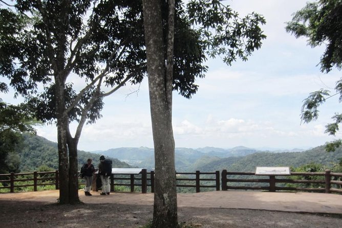 KhaoYai National Park 3D2N - Day 1 continues: sweet corn juice and a Tuscany-style break at Primo Piazza