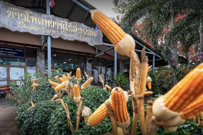 KhaoYai National Park 3D2N - Day 3: Ban Tha Chang Spring and Haew Narok Waterfall
