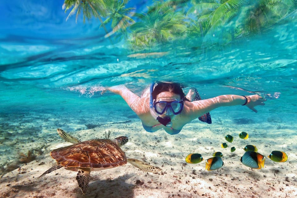Kho Phangan : Mu Ko Ang Thong National Park - Sleeping Cow Island and Three Piers Island: the payoff stops