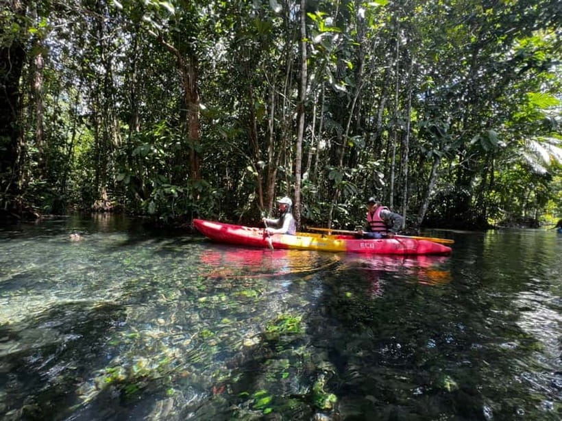 Klong Rud Kayaking with Hotel Transfer - Quick Takeaways You Should Know