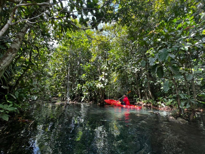 Klong Rud Kayaking with Hotel Transfer - Weather and Safety Reality Check (So You’re Not Surprised)