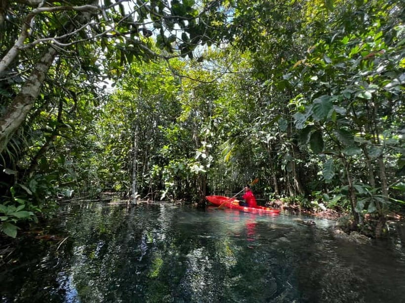 Klong Rud Kayaking with Hotel Transfer - Klong Nam Sai Lagoon: Why This Paddle Feels Peaceful