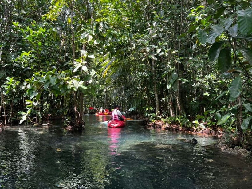 Klong Rud Kayaking with Hotel Transfer - Khlongroot Viewpoint Pier Start: What Your Morning Looks Like