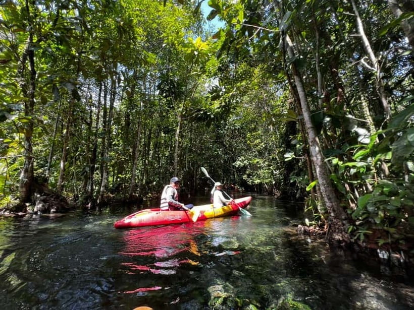 Klong Rud Kayaking with Hotel Transfer - Ao Nang Pickup and Joined Transfer: Getting There Without Stress