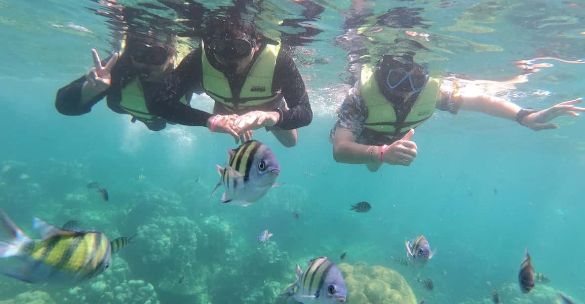 Ko Lanta: 4 Islands and Emerald Cave Day Tour by Speedboat - Who this tour fits best