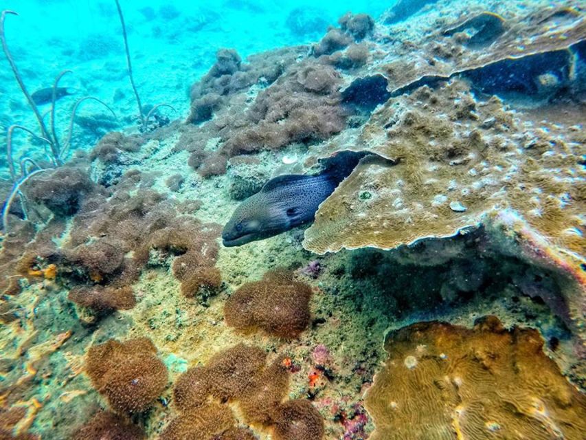 Ko Lanta: 4 Islands Snorkeling Tour by Longtail Boat - Pickup, the longtail boat vibe, and what “6 hours” feels like