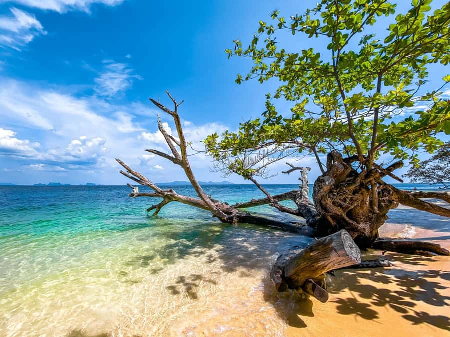 Ko Lanta: Early Bird the Emerald Caves and Koh Kradan Tour - Practical packing checklist (based on what the tour asks for)