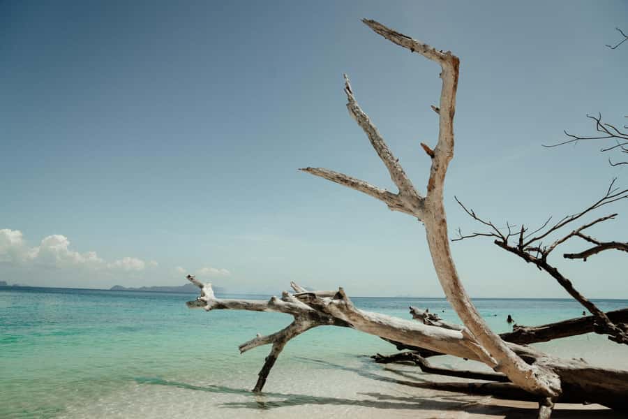 Ko Lanta: Early Bird the Emerald Caves and Koh Kradan Tour - The real payoff: early timing on Koh Muk and Koh Kradan